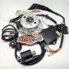 Yamaha RX135 RX-King Racing Ignition Kit Flywheel Rotor CDI Coil Harness