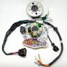 Yamaha RX135 RX-King Racing Ignition Kit | CDI Coil Rotor