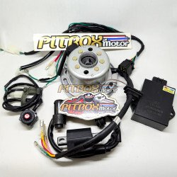 Yamaha RX135 RX-King Racing Ignition Kit | CDI Coil Rotor